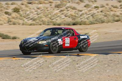 media/Feb-18-2024-Nasa AZ (Sun) [[891db5b212]]/7-Race Group A/Session 1 Turn 12 Exit-Bowl Entry/